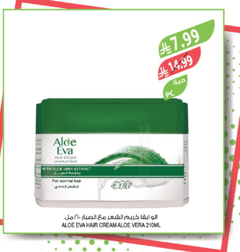 available at المزرعة in مملكة العربية السعودية, السعودية, سعودية - تبوك