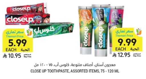 Mint available at Tamimi Market in KSA, Saudi Arabia, Saudi - Buraidah