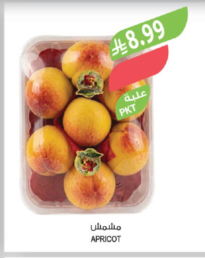 Apricot available at المزرعة in مملكة العربية السعودية, السعودية, سعودية - الخرج
