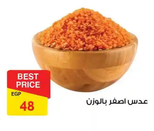 available at فتح الله in Egypt - القاهرة