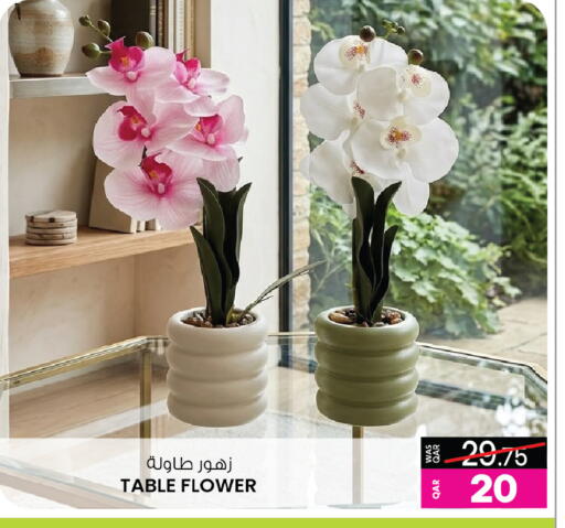 available at أنصار جاليري in قطر - أم صلال