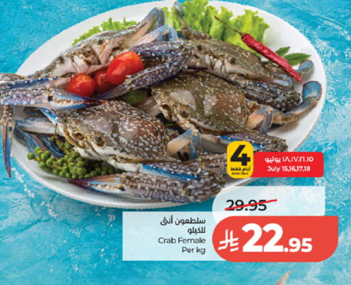 available at لولو هايبرماركت in مملكة العربية السعودية, السعودية, سعودية - تبوك