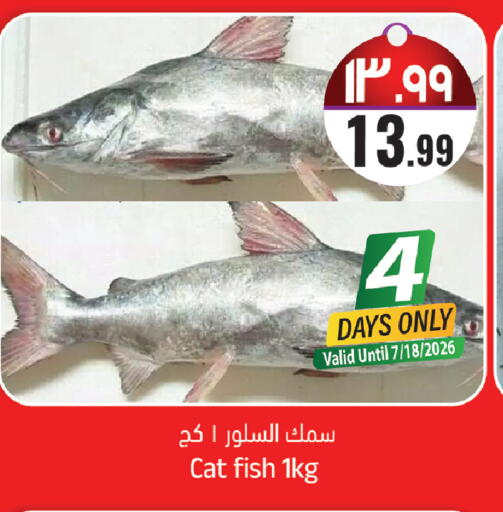 available at ستي فلاور in مملكة العربية السعودية, السعودية, سعودية - سكاكا