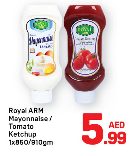 Tomato available at Day to Day Department Store in UAE - Sharjah / Ajman