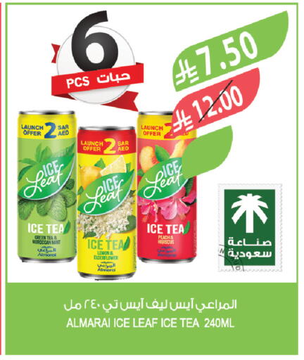 Lemon Peach Mint available at المزرعة in مملكة العربية السعودية, السعودية, سعودية - تبوك