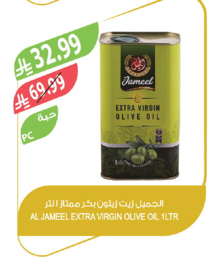 available at المزرعة in مملكة العربية السعودية, السعودية, سعودية - تبوك