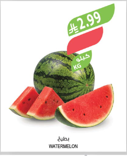 Watermelon available at المزرعة in مملكة العربية السعودية, السعودية, سعودية - الخرج