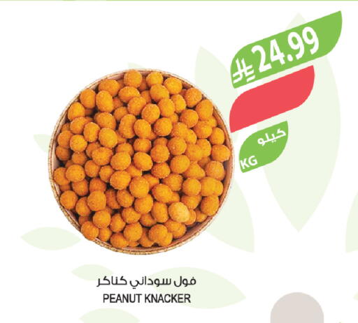 available at المزرعة in مملكة العربية السعودية, السعودية, سعودية - الخرج