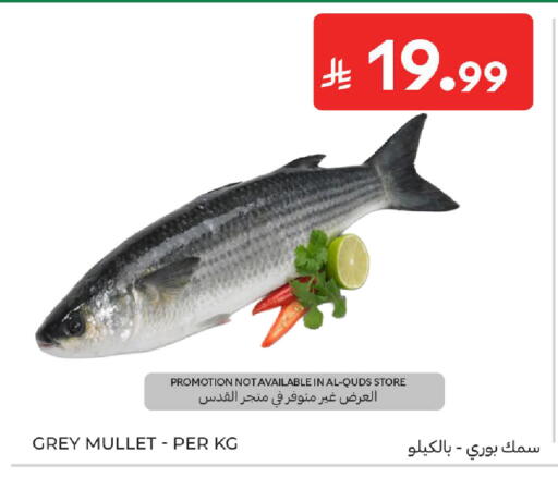 available at كارفور in مملكة العربية السعودية, السعودية, سعودية - سكاكا