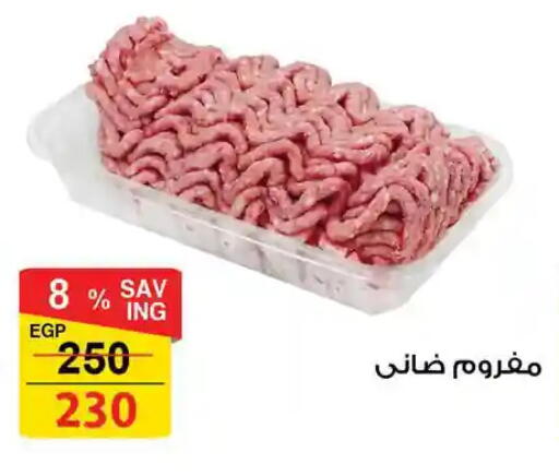 available at فتح الله in Egypt - القاهرة