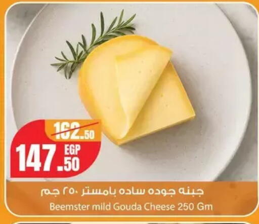 available at جيان مصر in Egypt - القاهرة