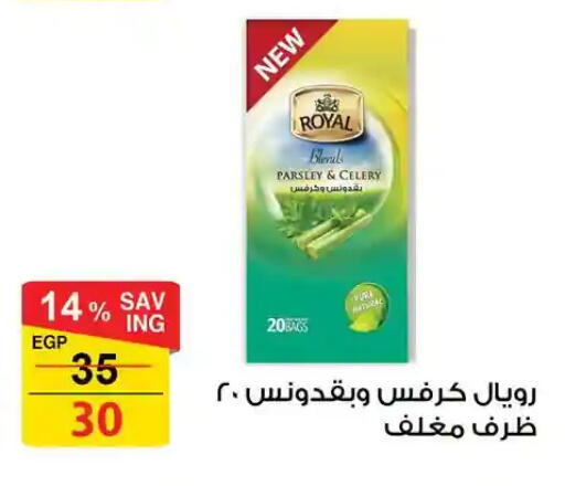 Parsley Celery available at فتح الله in Egypt - القاهرة