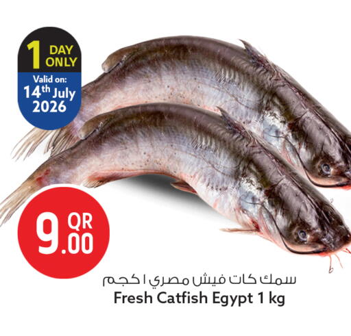 available at سفاري هايبر ماركت in قطر - الخور