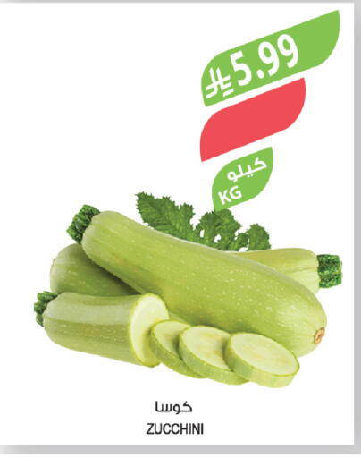 Zucchini available at المزرعة in مملكة العربية السعودية, السعودية, سعودية - الخرج