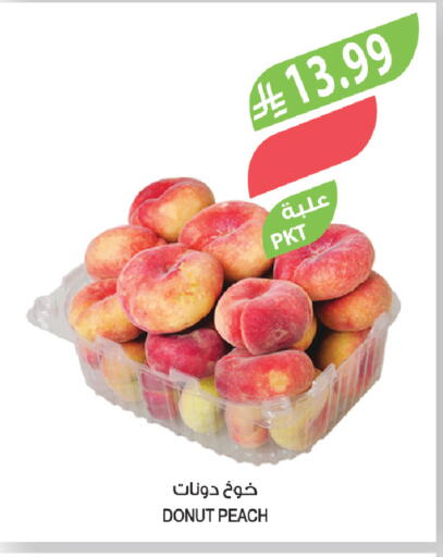 Peach available at المزرعة in مملكة العربية السعودية, السعودية, سعودية - تبوك