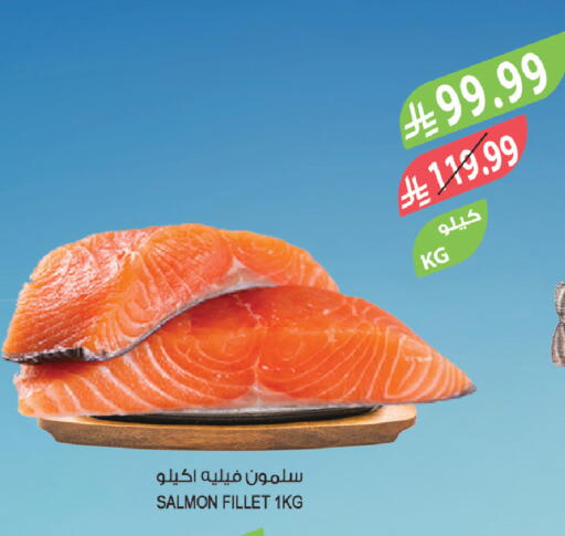 available at المزرعة in مملكة العربية السعودية, السعودية, سعودية - تبوك