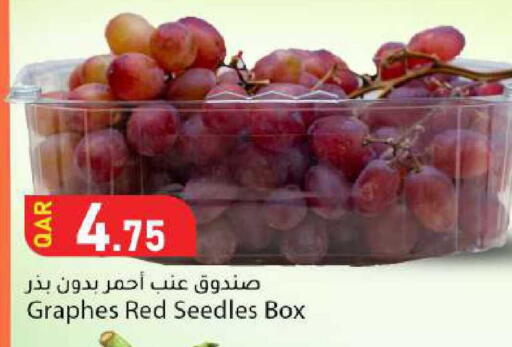 available at Dana Market in Qatar - Al-Shahaniya