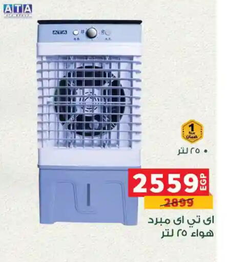 available at Panda  in Egypt - Cairo