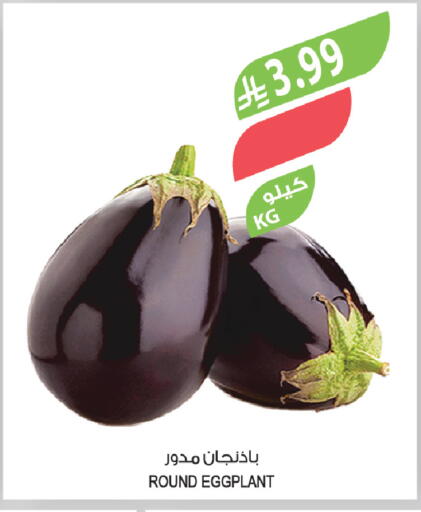 Eggplant available at المزرعة in مملكة العربية السعودية, السعودية, سعودية - الخرج