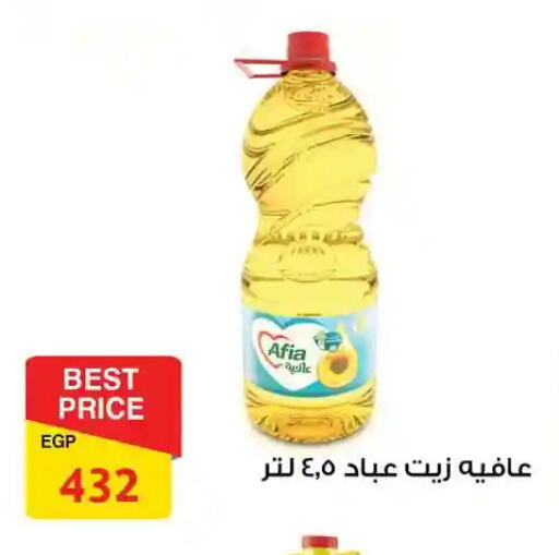 available at فتح الله in Egypt - القاهرة