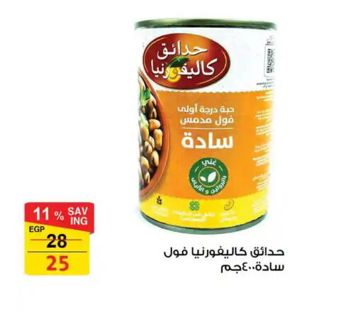 available at فتح الله in Egypt - القاهرة