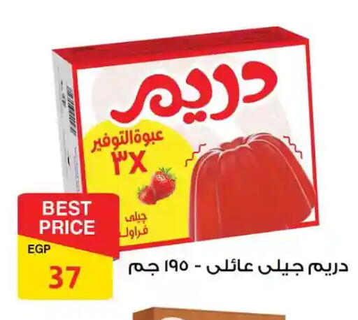available at فتح الله in Egypt - القاهرة