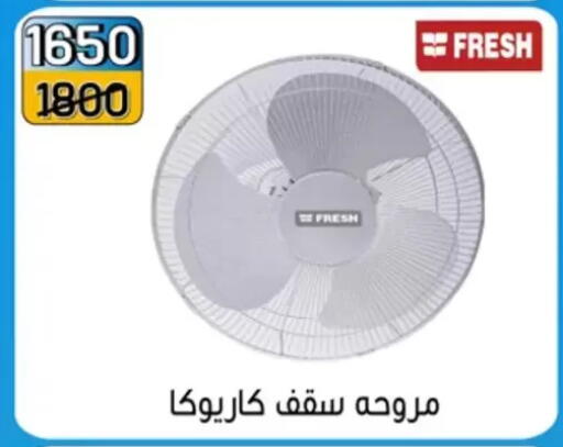 available at Pharaohs Center Shoubra in Egypt - Cairo