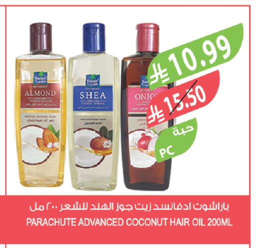 Coconut available at المزرعة in مملكة العربية السعودية, السعودية, سعودية - تبوك