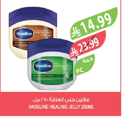 available at المزرعة in مملكة العربية السعودية, السعودية, سعودية - تبوك
