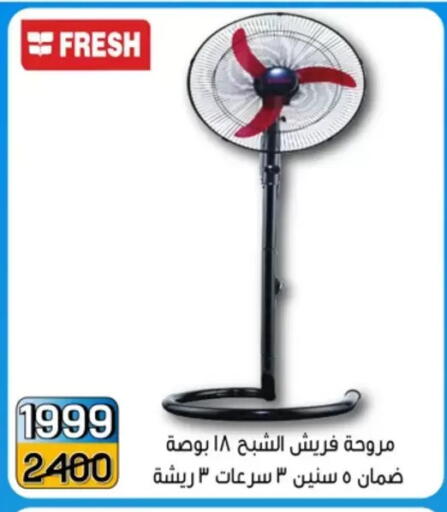 available at Pharaohs Center Shoubra in Egypt - Cairo