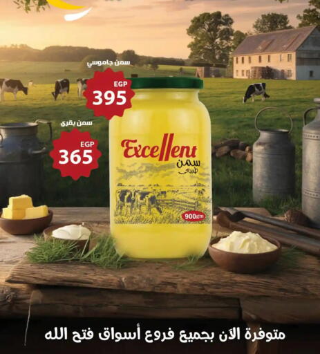 available at فتح الله in Egypt - القاهرة