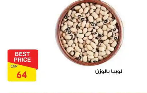 available at فتح الله in Egypt - القاهرة