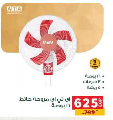 available at Panda  in Egypt - Cairo