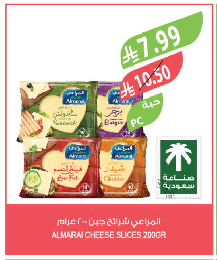 available at المزرعة in مملكة العربية السعودية, السعودية, سعودية - تبوك
