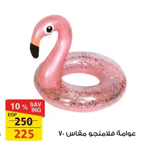 available at فتح الله in Egypt - القاهرة