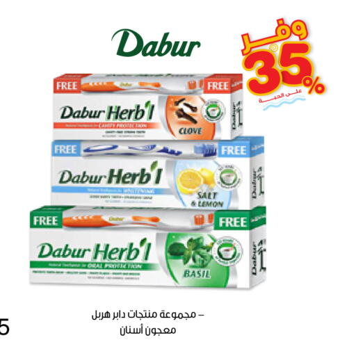 Basil available at Innova Health Care in KSA, Saudi Arabia, Saudi - Al-Kharj