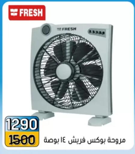 available at Pharaohs Center Shoubra in Egypt - Cairo
