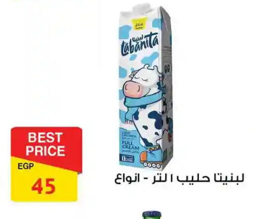 available at فتح الله in Egypt - القاهرة
