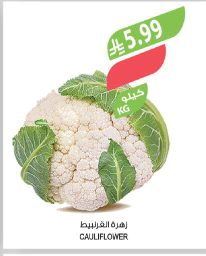 Cauliflower available at المزرعة in مملكة العربية السعودية, السعودية, سعودية - الخرج
