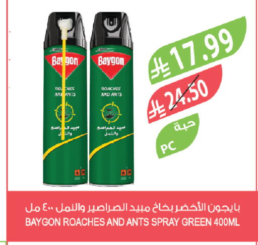 available at المزرعة in مملكة العربية السعودية, السعودية, سعودية - تبوك