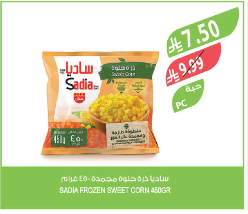 available at المزرعة in مملكة العربية السعودية, السعودية, سعودية - تبوك