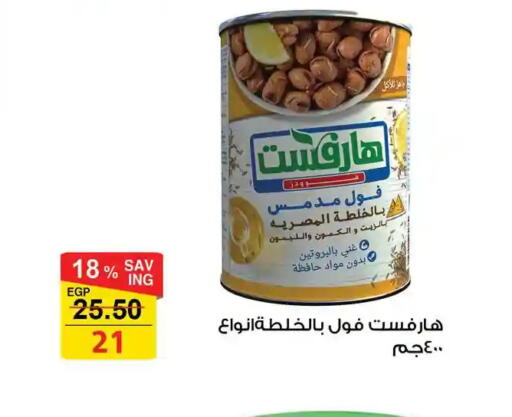 available at فتح الله in Egypt - القاهرة
