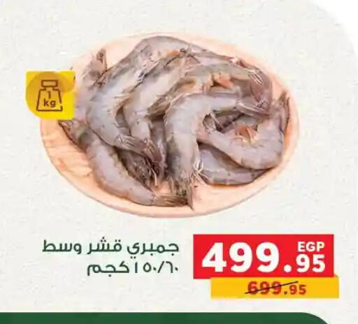 available at Panda  in Egypt - Cairo