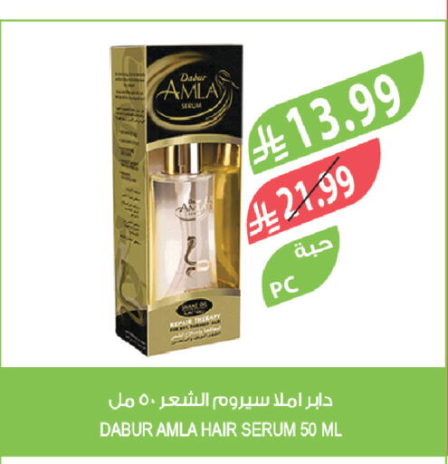 available at المزرعة in مملكة العربية السعودية, السعودية, سعودية - تبوك