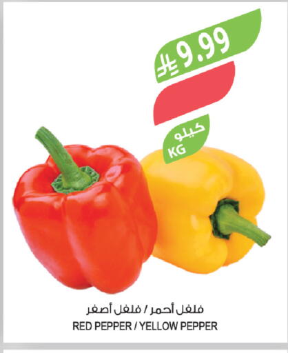 Pepper available at المزرعة in مملكة العربية السعودية, السعودية, سعودية - الخرج