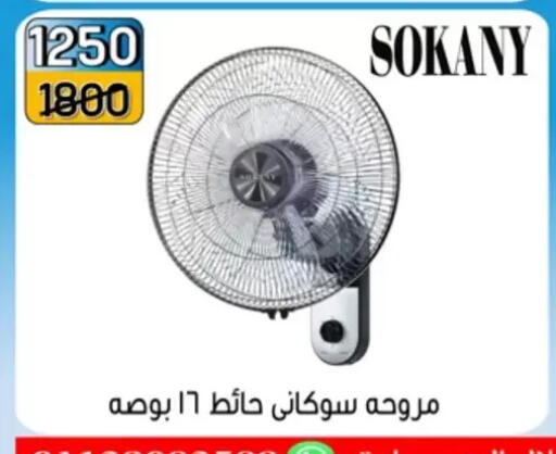 in Egypt - القاهرة