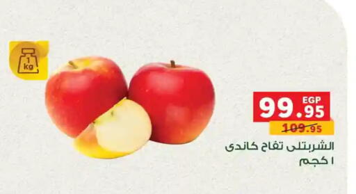 available at Panda  in Egypt - Cairo