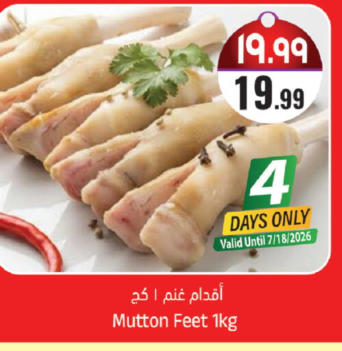 available at City Flower in KSA, Saudi Arabia, Saudi - Sakaka