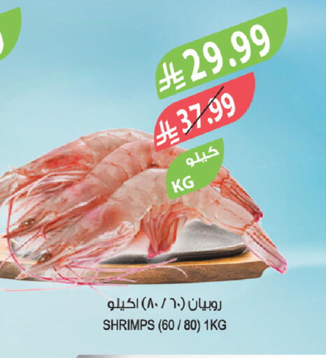 available at المزرعة in مملكة العربية السعودية, السعودية, سعودية - تبوك