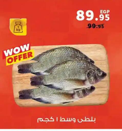 available at Panda  in Egypt - Cairo